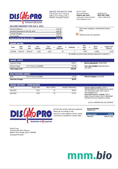 Ekwador Disgaspro Gas rachunek za usługi komunalne szablon w formacie Word i pdf